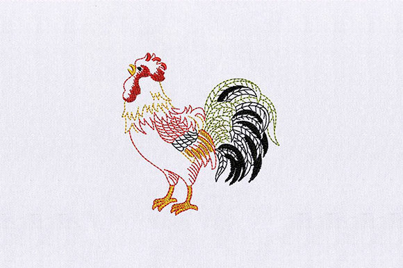 Rooster Male Embroidery Design Review